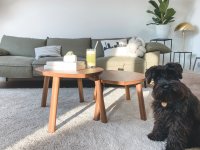 Verfraai je woonkamer met een prachtige koffietafel die gemaakt is voor jouw stijl